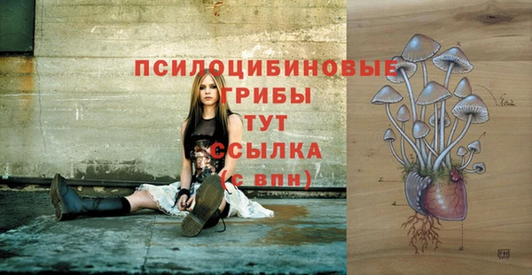 spice Зеленокумск