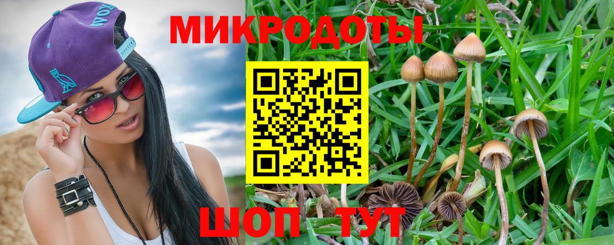 Галлюциногенные грибы MAGIC MUSHROOMS Тосно