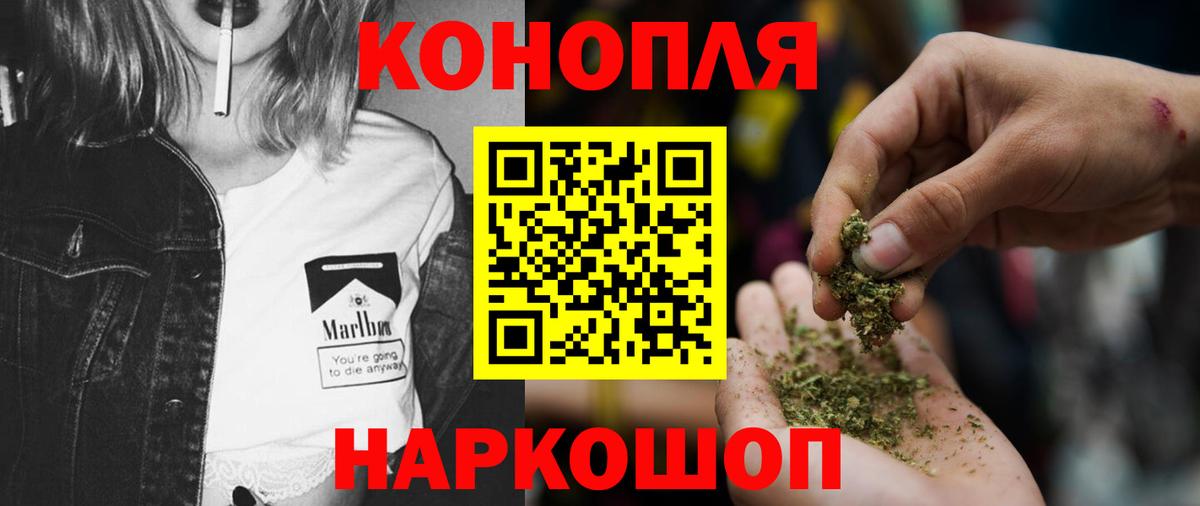 Бошки марихуана OG Kush Тосно